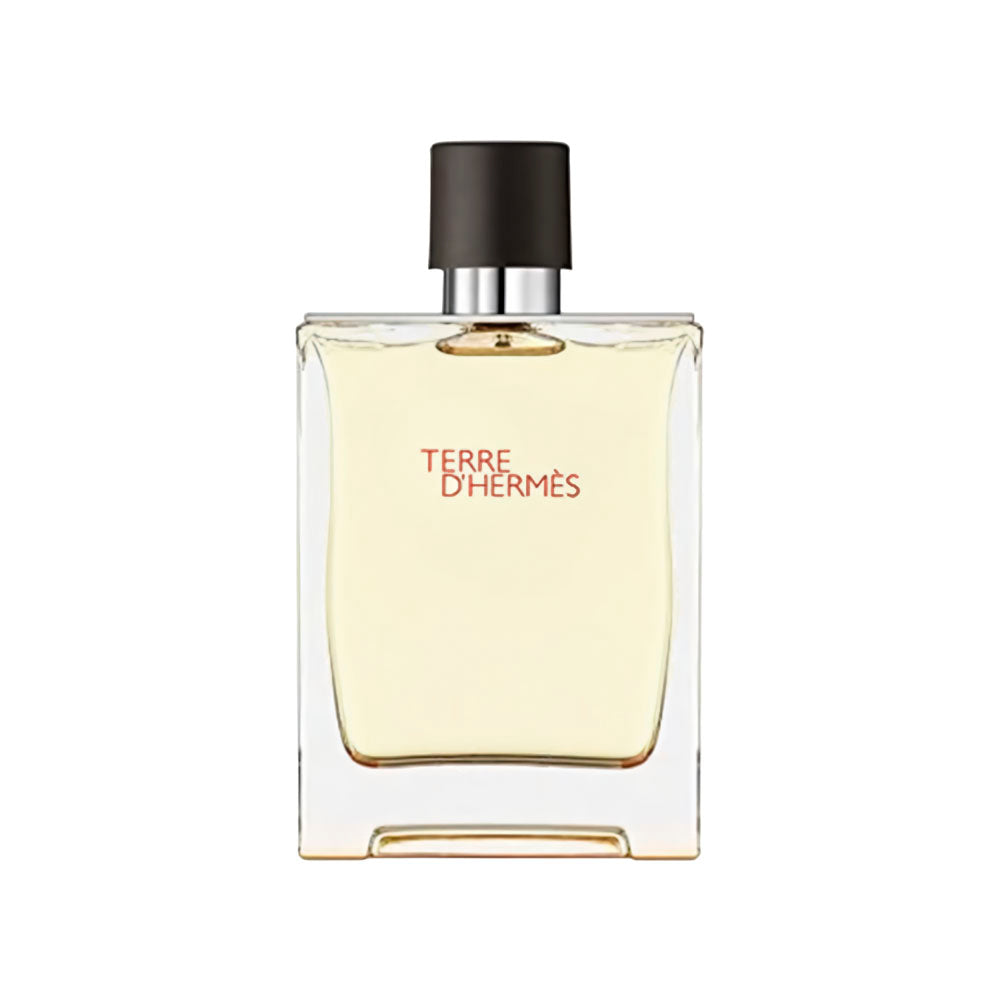 Terre D'Hermes Car Freshie